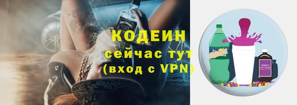 трава Арсеньев